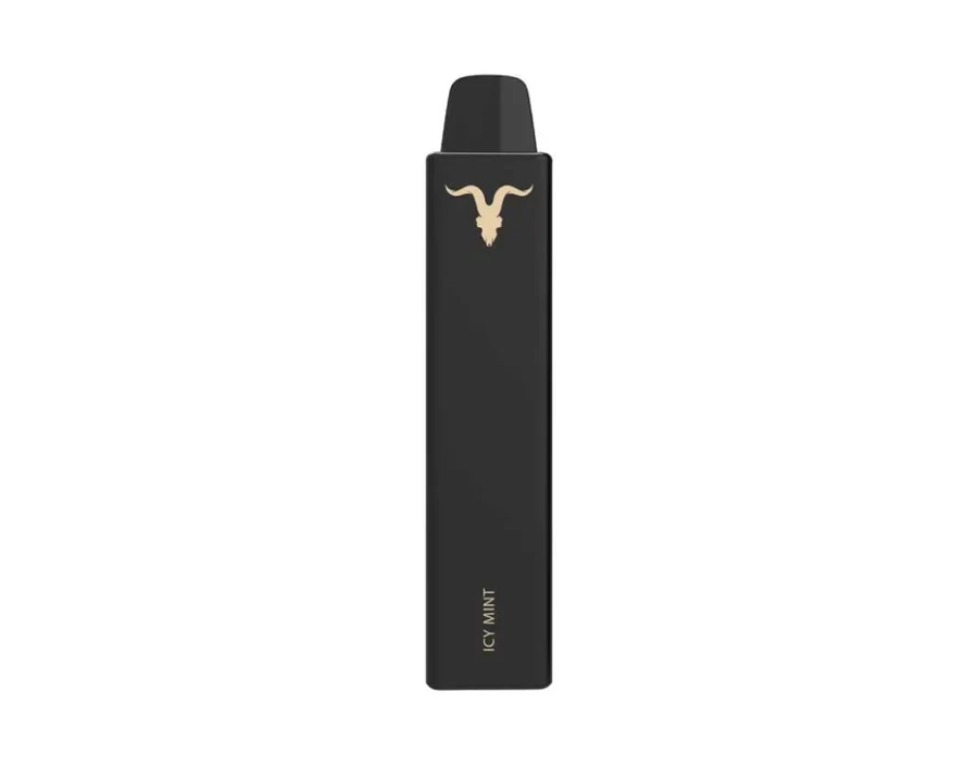 IGNITE V NANO | 1500 - ICY MINT